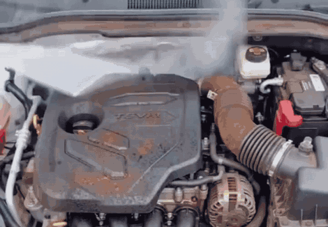 Vapor a presión limpiando el compartimento del motor de un carro